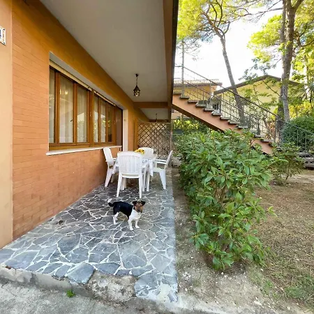 Apartment In Lignano 21670